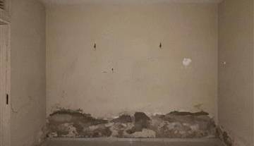 WhatsApp Image 2025-09-25 at 10.39.29 2.jpeg